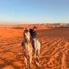 تجربة ركوب الخيل في الرياض